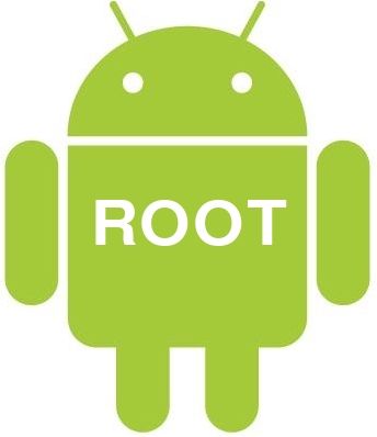Root - Everything About 